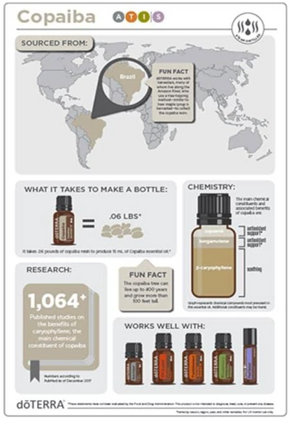 Copaiba Essential Oil-2